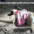 Аватар Алина Савченко